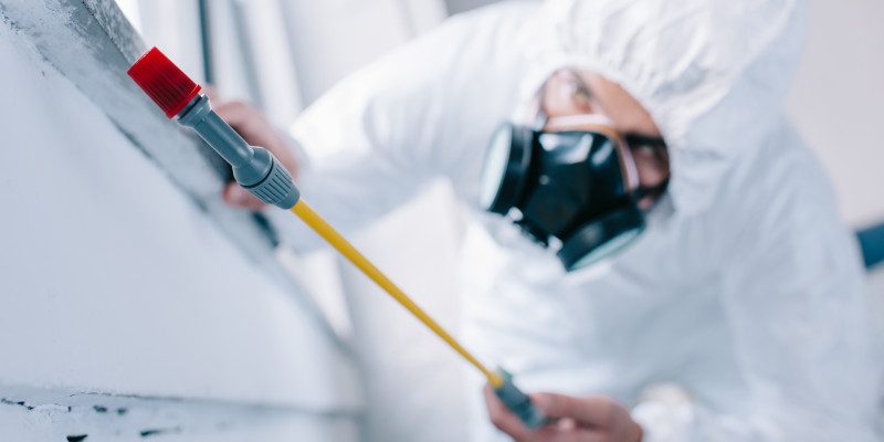 Pest Extermination in Knoxville, Tennessee