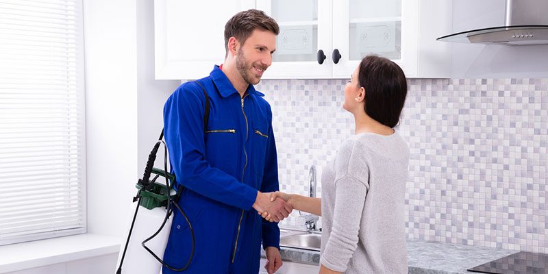 Pest Control Companies in Knoxville, Tennessee