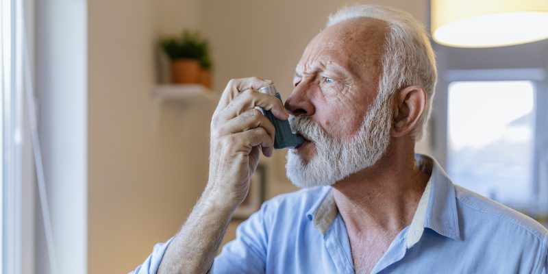 Why Cockroach Control Is Important for Your Health