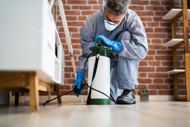 Pest Control Exterminator Services Spraying Insecticide Insect Pest Control